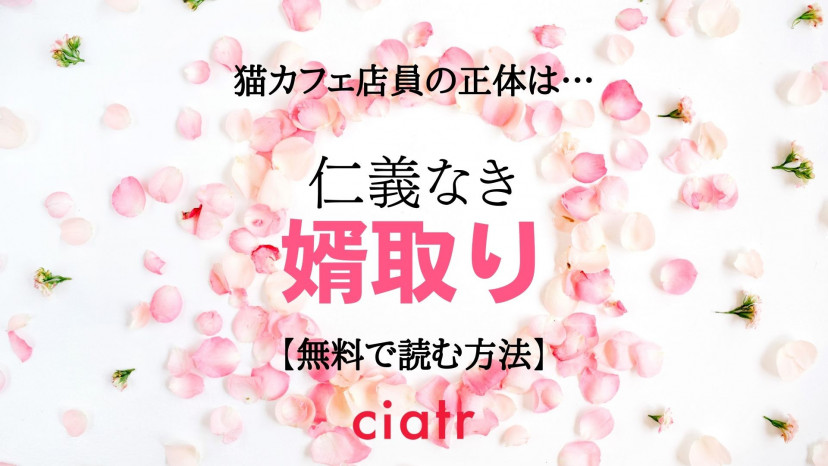 漫画 仁義なき婿取り は全巻無料で読める 見どころと感想も紹介 Ciatr シアター