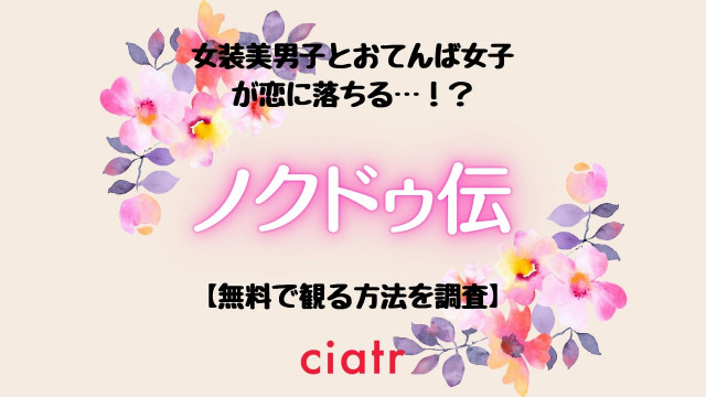 ノクドゥ伝 動画配信