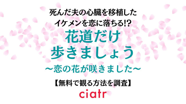 花道だけ歩きましょう 動画配信