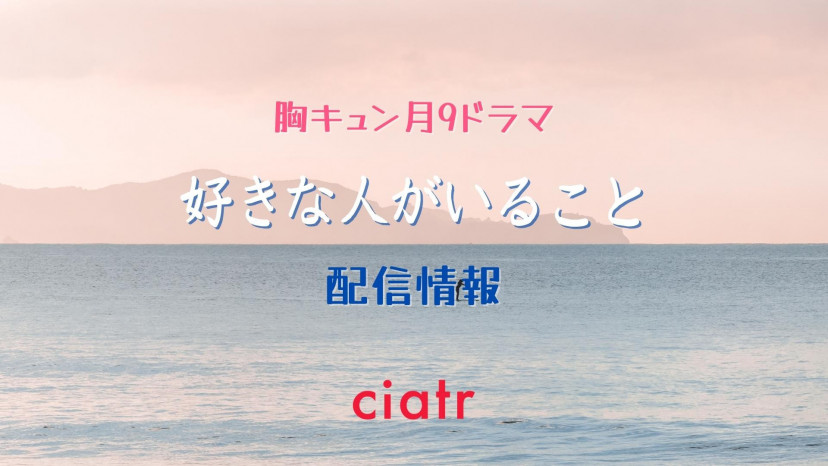 がいること Dvd 国内tvドラマ 好きな人がいること Dvd Box ｆｅｌｉｓｔａ玉光堂 がいること