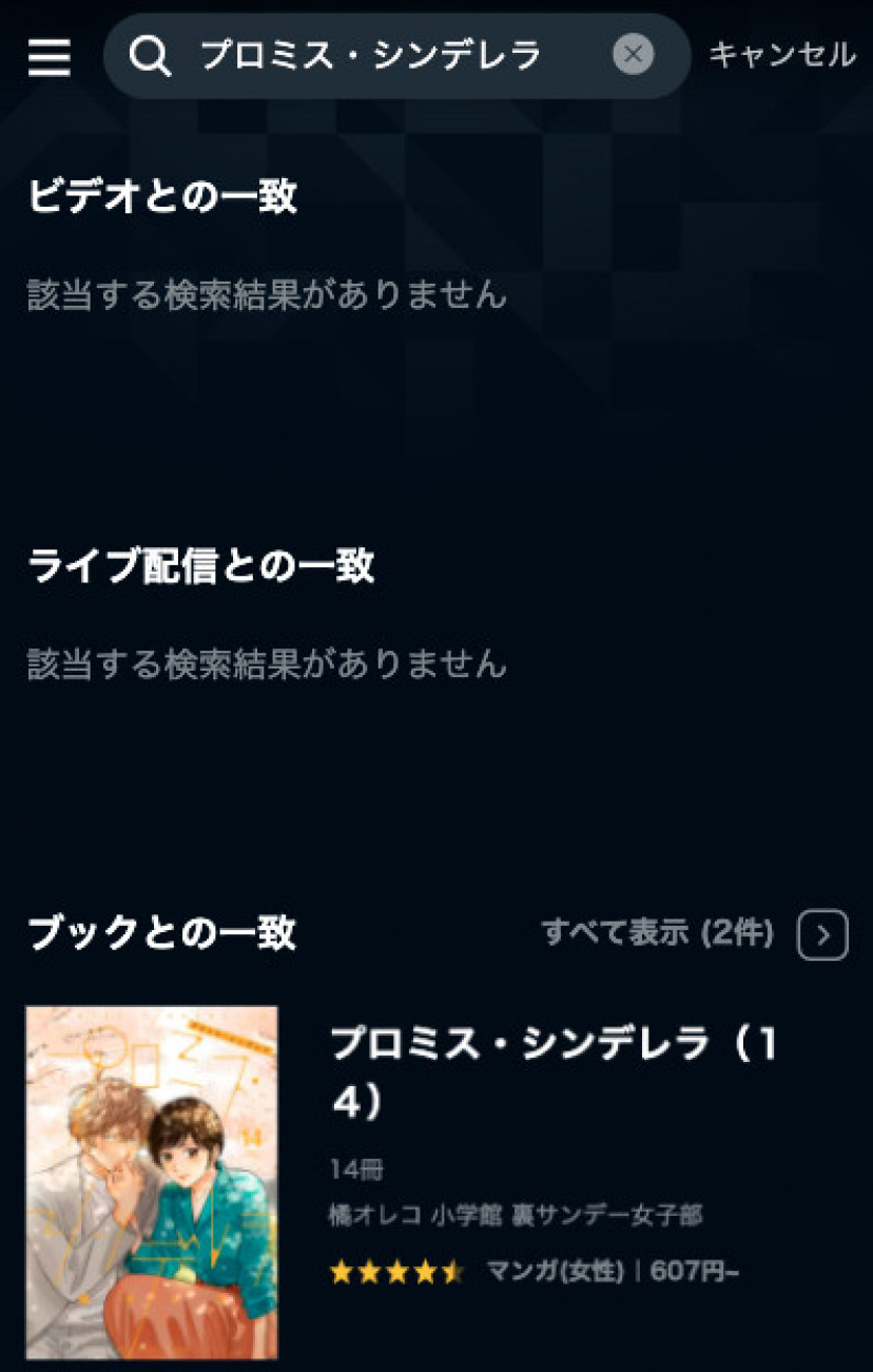 プロミスシンデレラ netflix