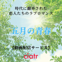 韓国ドラマ アイリス の動画を無料で配信中のサブスクはここ Ciatr シアター