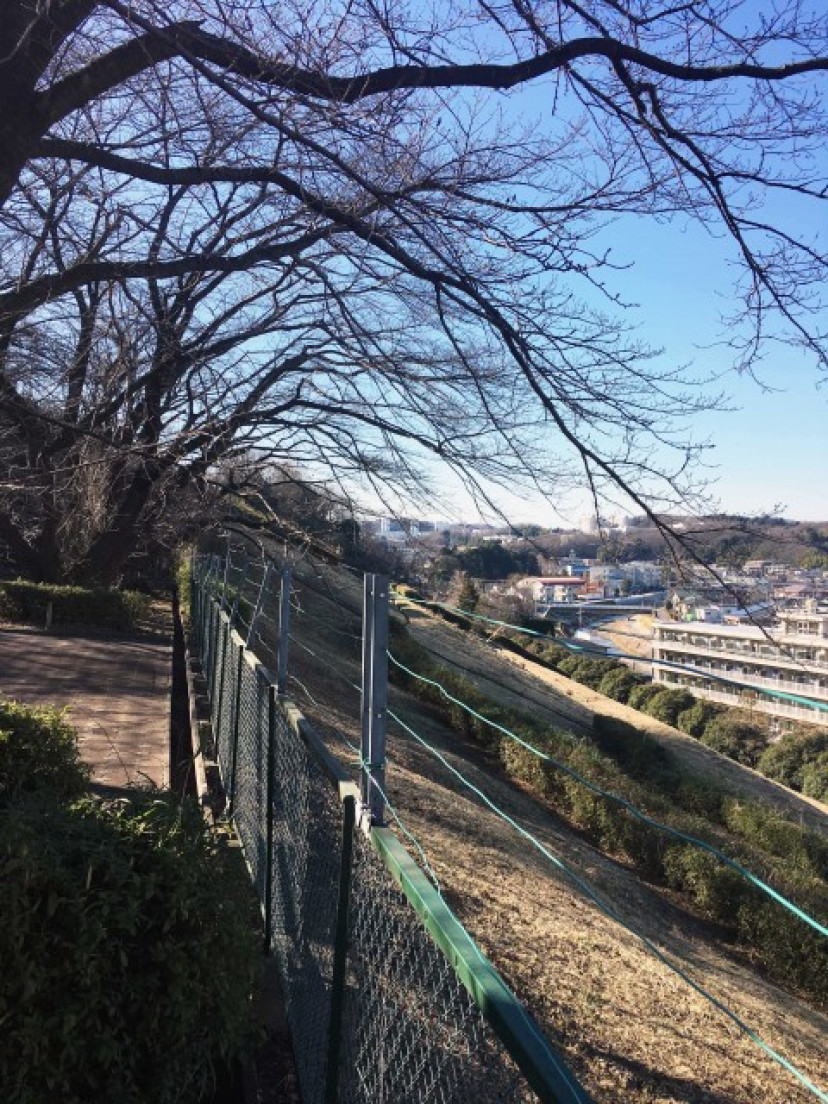 耳をすませば の聖地 聖蹟桜ヶ丘を巡ろう アニメの舞台は実写版のロケ地にも使われる Ciatr シアター