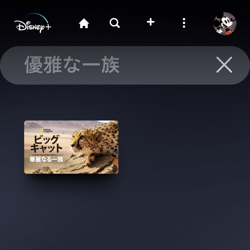 ディズニー結果