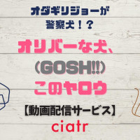 ドラマ「オリバーな犬」の見逃し配信動画を無料で観られるサブスクまとめ