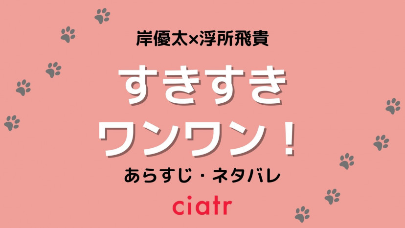 あらすじ、カメラマン