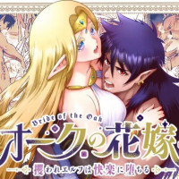 漫画『オークの花嫁 ～攫われエルフは快楽に堕ちる～』は無料で読める？続編「After」の配信状況も【Jewelry Box/玉姫なお】