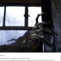 ディメンター(吸魂鬼)の正体と倒し方 「ハリー・ポッター」史上最恐生物の闇の歴史とは？