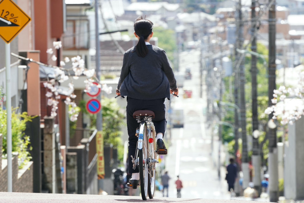 先生の白い嘘、映画