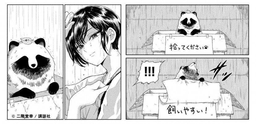 雨と君と