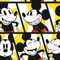 ミッキーマウスのことって実はほとんど知らない？18の秘密【ディズニー】