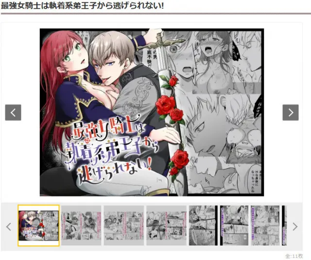 『最強女騎士は執着系弟王子から逃げられない!』