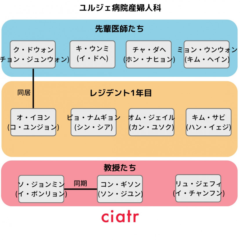 韓国ドラマ『いつかは賢いレジデント生活』相関図