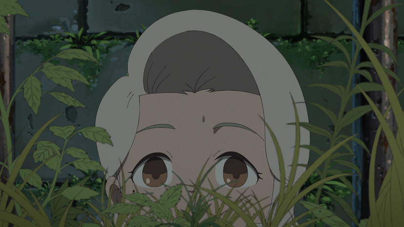 アニメ映画『ホウセンカ』