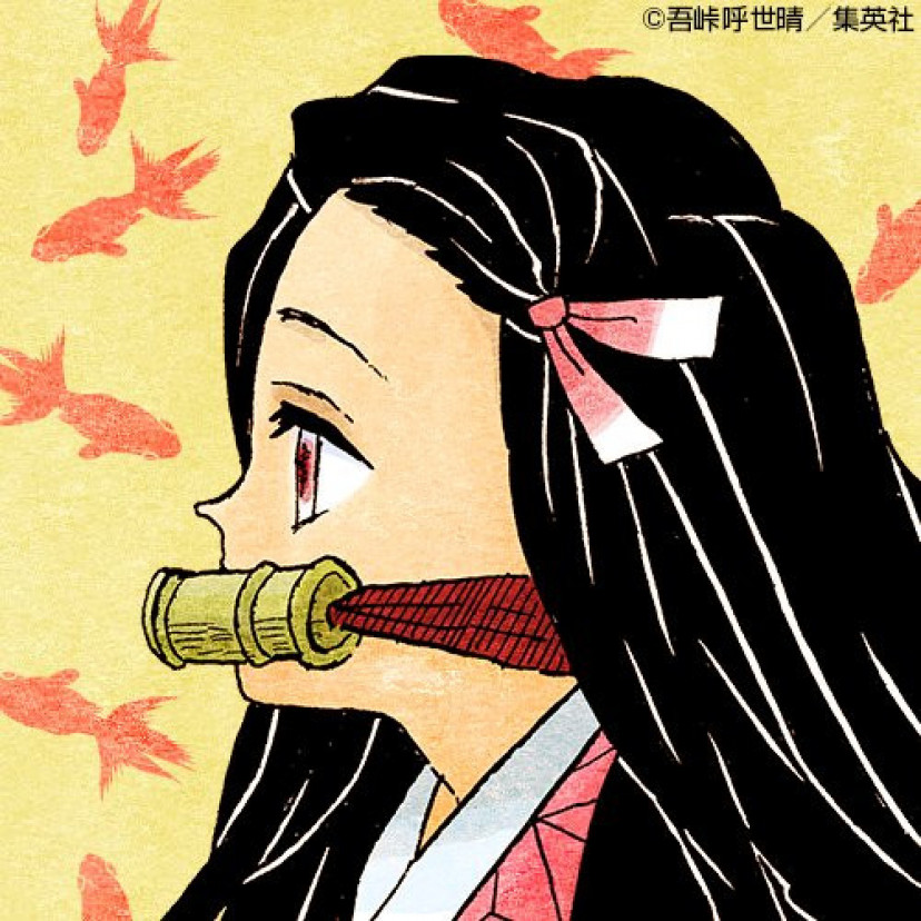 鬼滅の刃 禰豆子