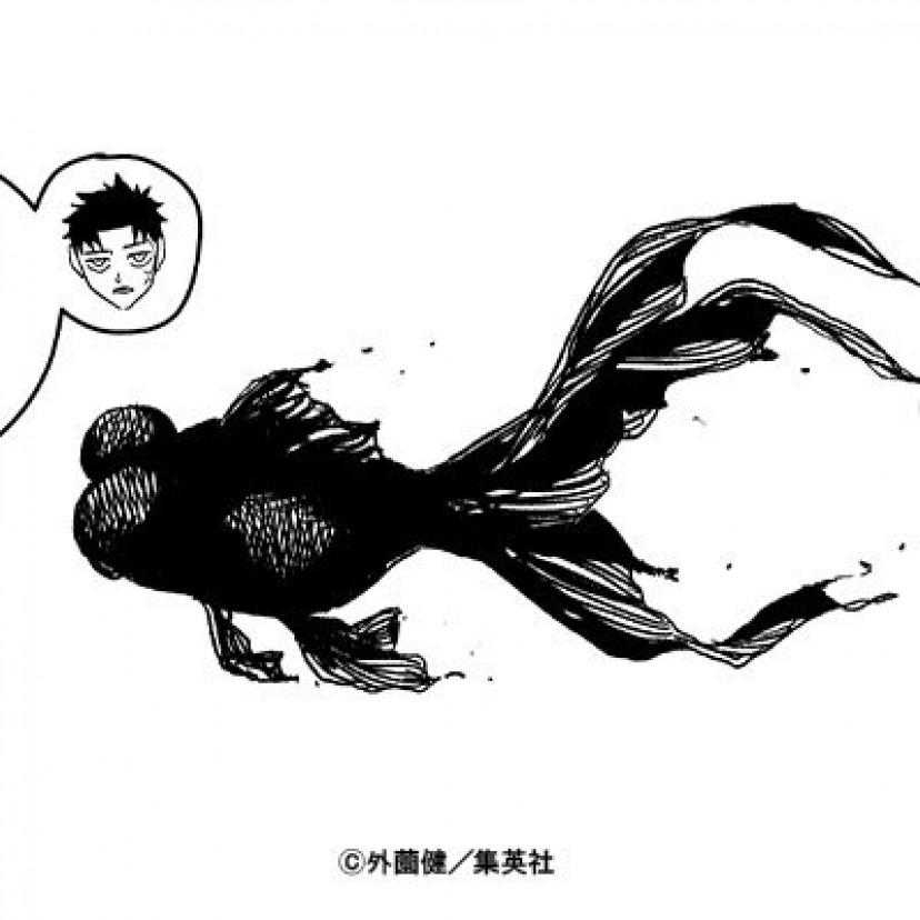 カグラバチ