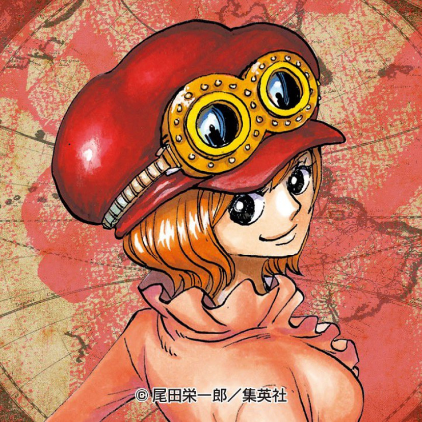 ワンピース コアラ