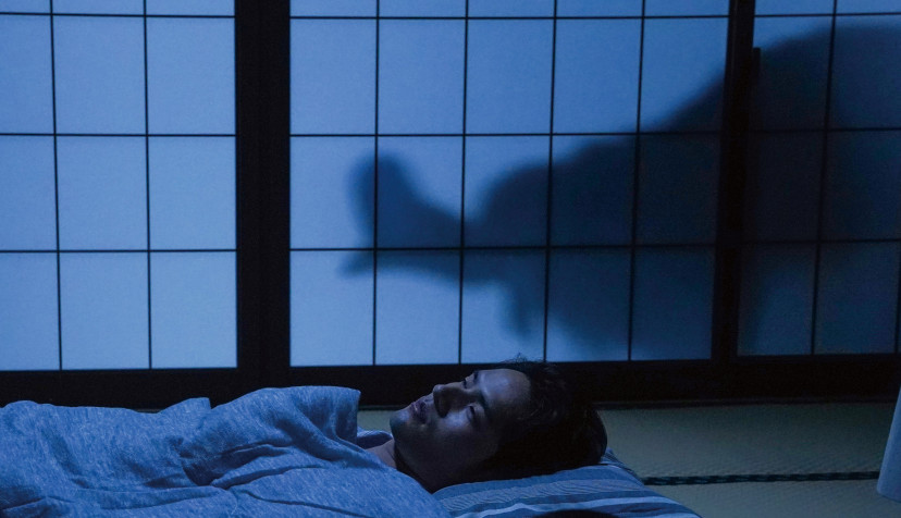 『火喰鳥を、喰う』