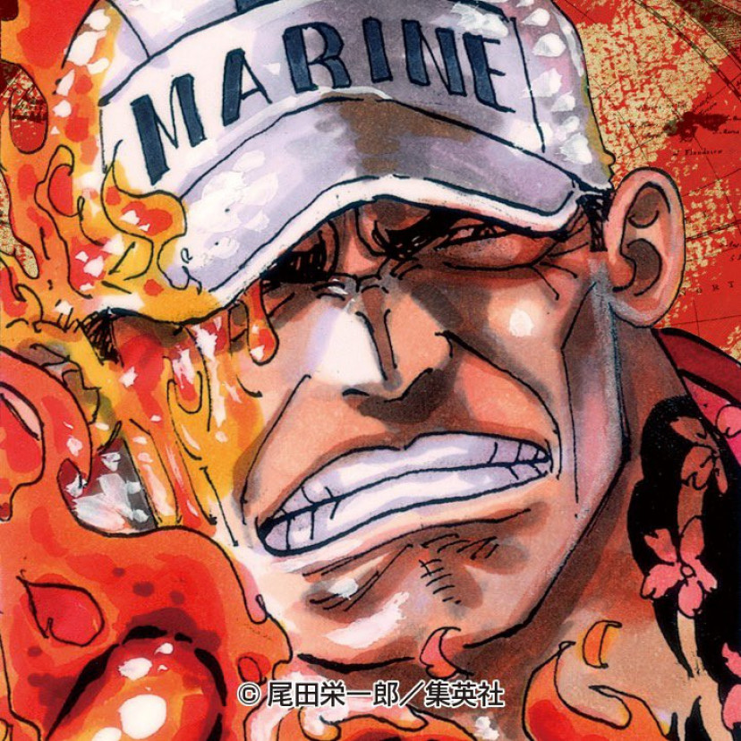 ONE PIECE ワンピース 赤犬 サカズキ