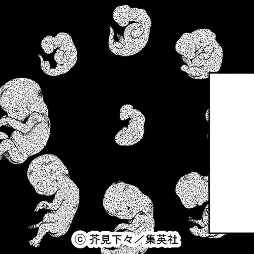 呪術廻戦 呪胎九相図
