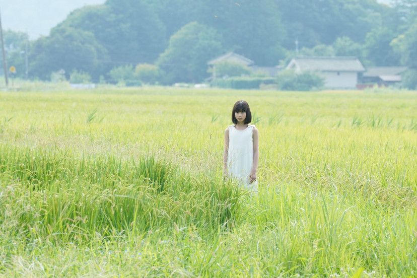 『火喰鳥を、喰う』