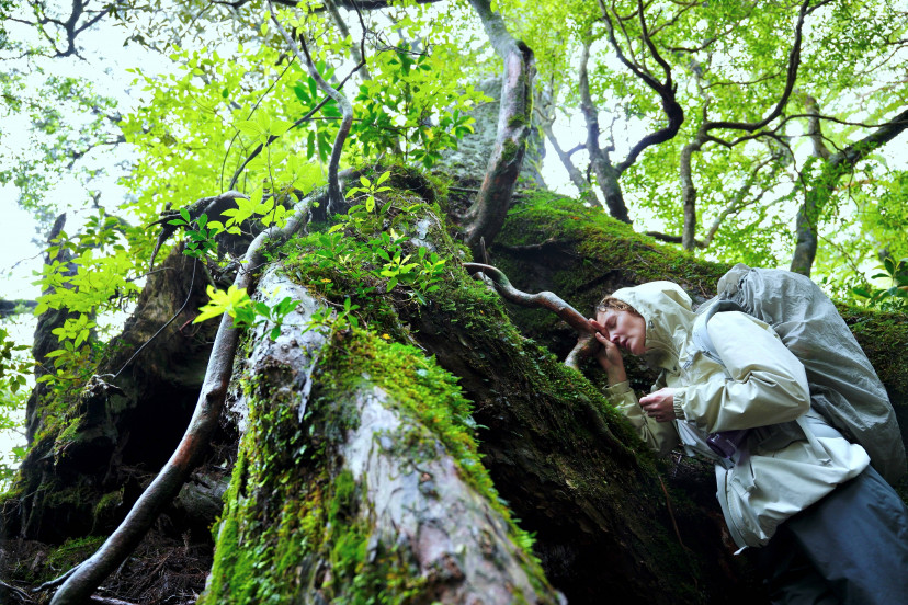 映画『たしかにあった幻』