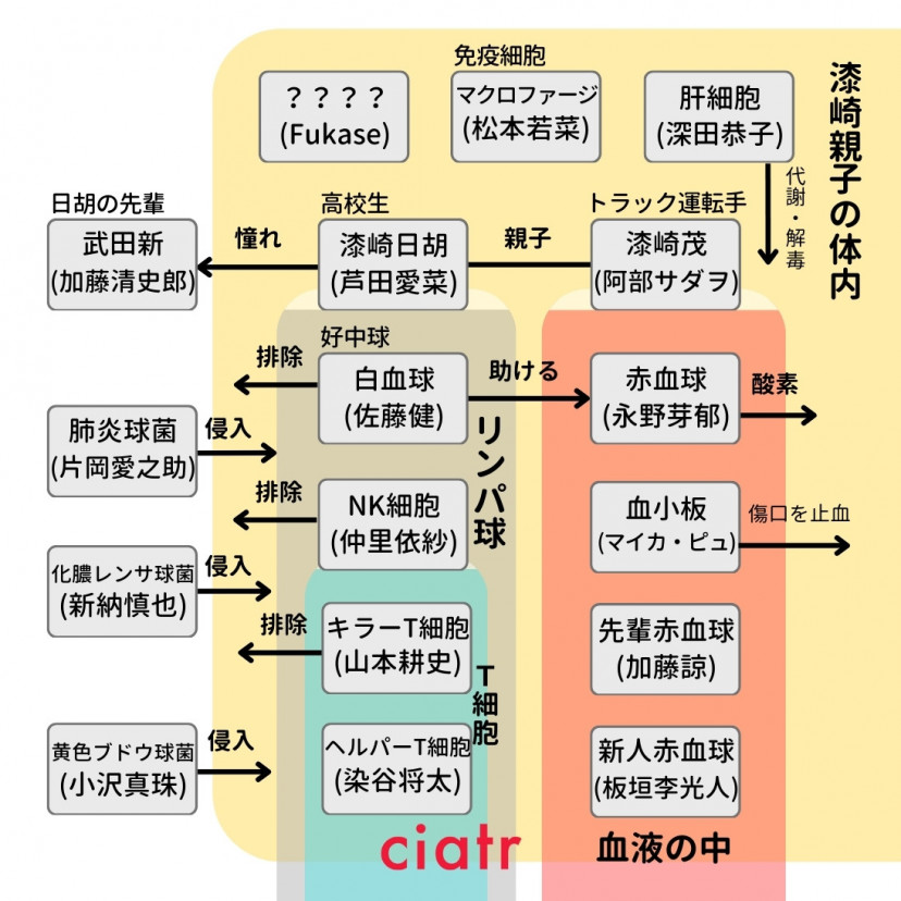 『はたらく細胞』(2024年)相関図