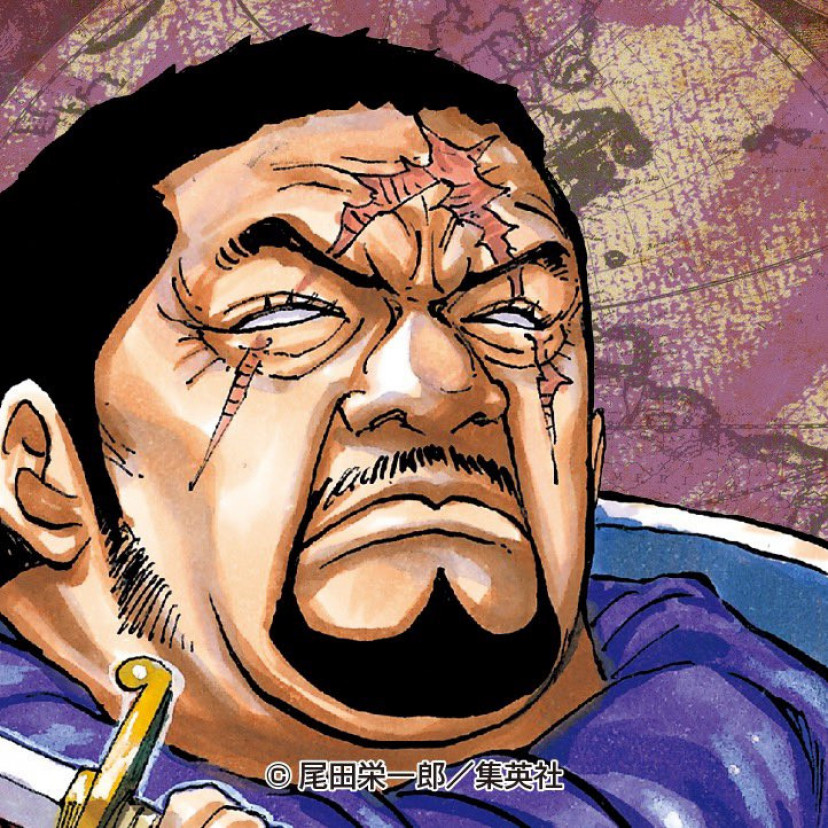 ワンピース　イッショウ　藤虎