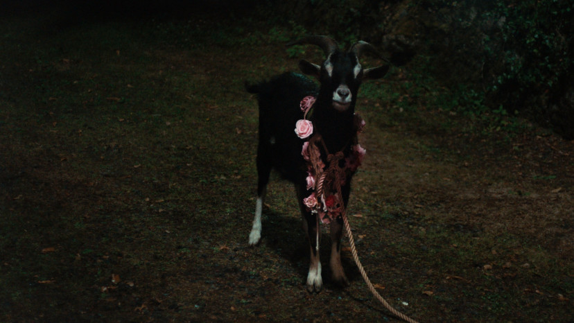 映画『FRÉWAKA／フレワカ』