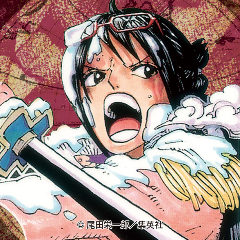 ワンピース　ONE PIECE　たしぎ