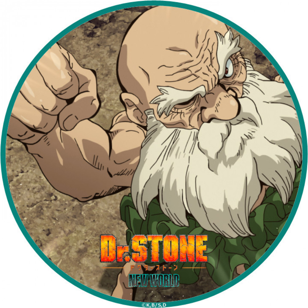 Dr.STONE　ドクターストーン　カセキ