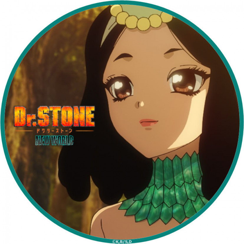 ドクターストーン　アマリリス