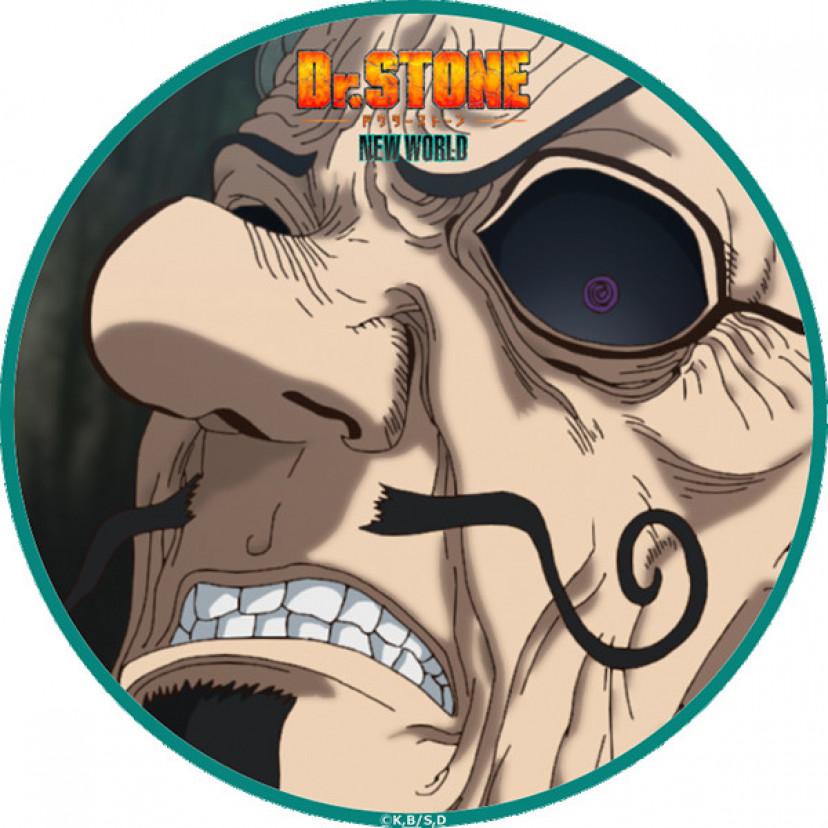 ドクターストーン　イバラ