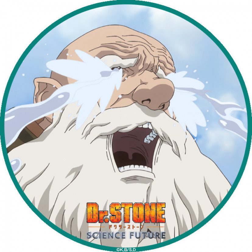 Dr.STONE　ドクターストーン　カセキ