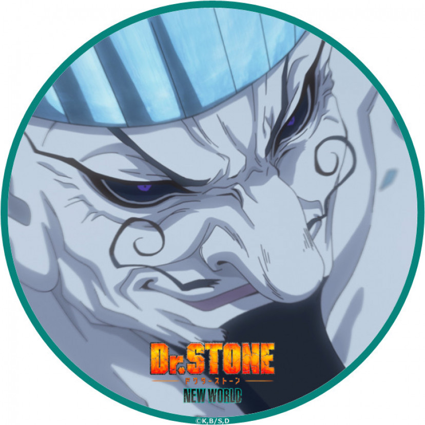 ドクターストーン　イバラ