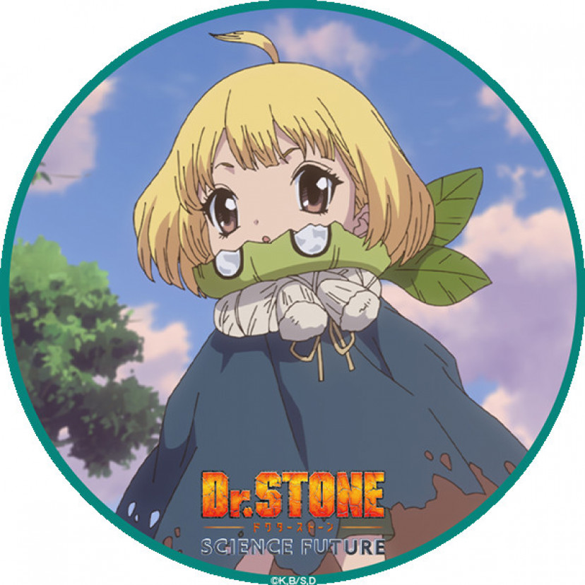 Dr.STONE　スイカ