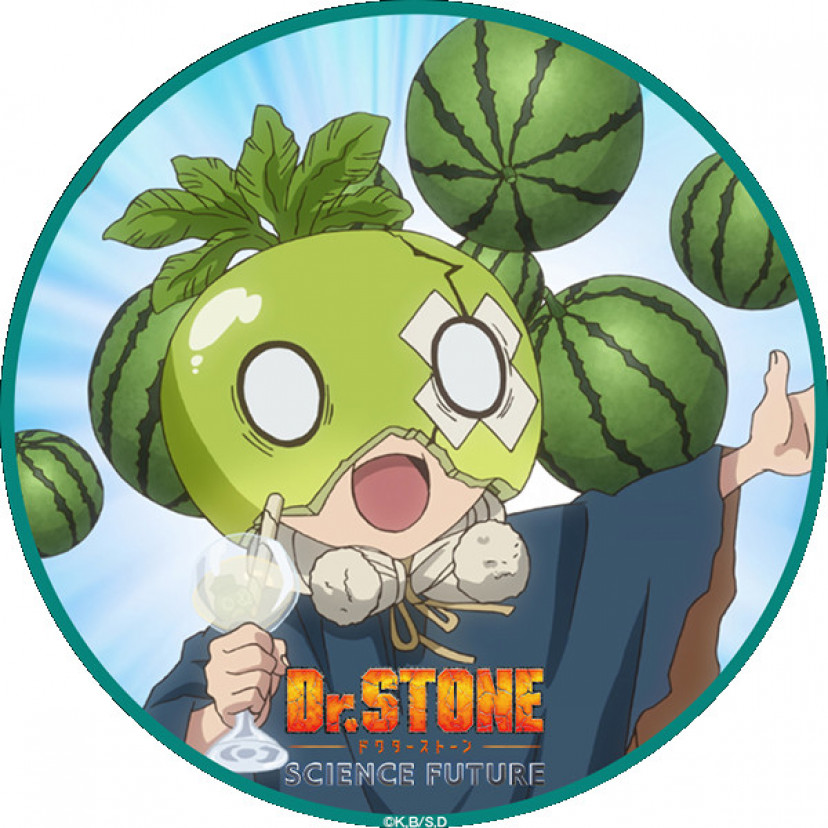 Dr.STONE　スイカ