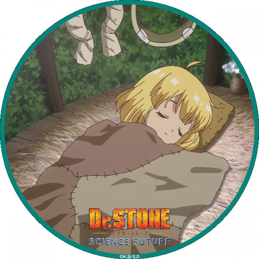 Dr.STONE　スイカ