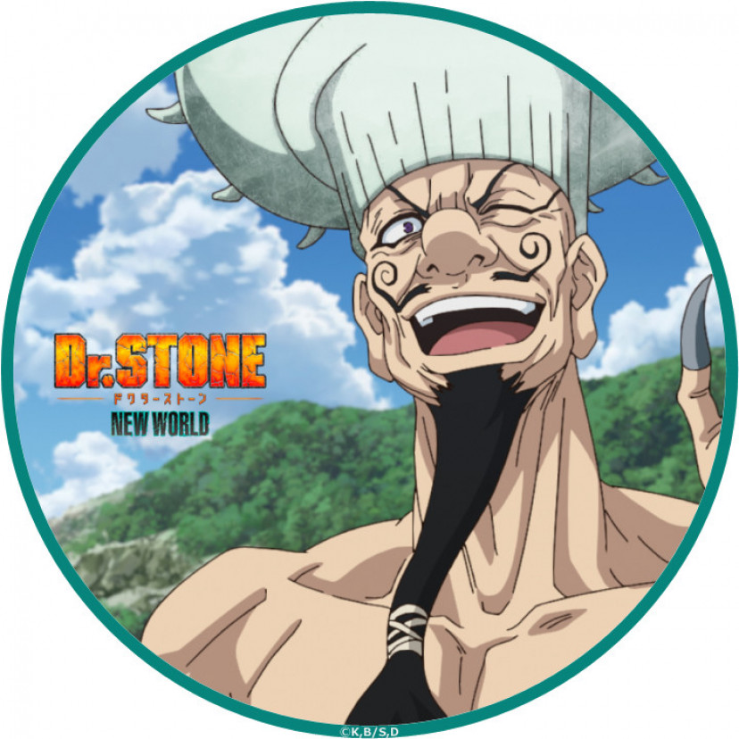 ドクターストーン　イバラ