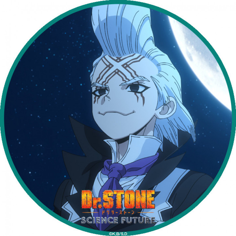 ドクターストーン ドクターゼノ