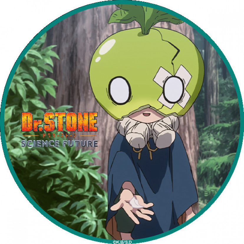 Dr.STONE　スイカ