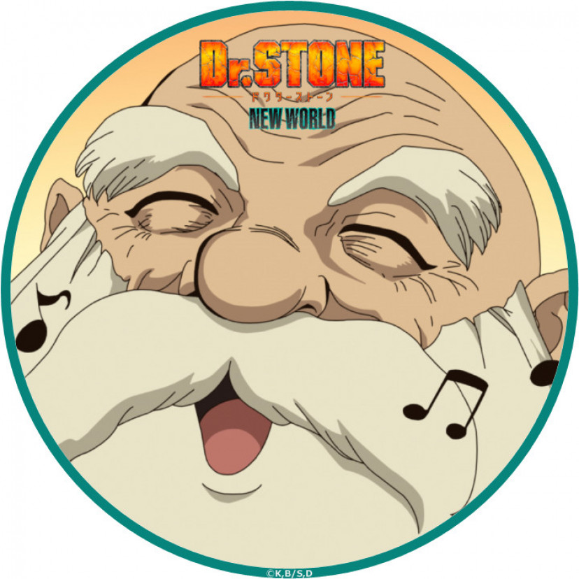 ドクターストーン　Dr.STONE　カセキ
