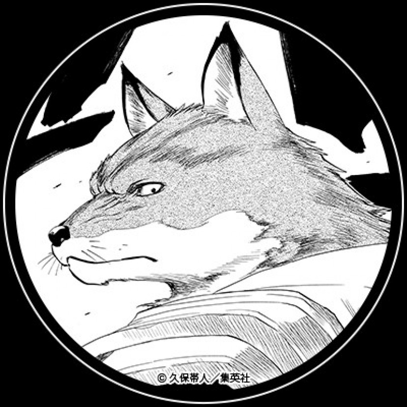 BLEACH ブリーチ 狛村左陣
